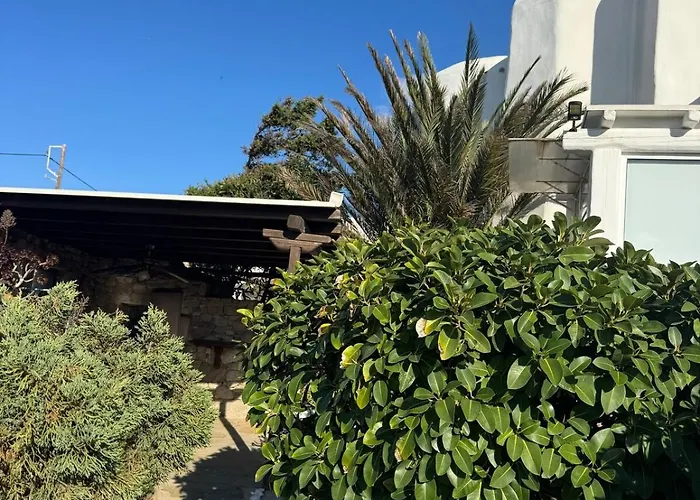 Erica Mykonos