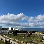 Elaya *