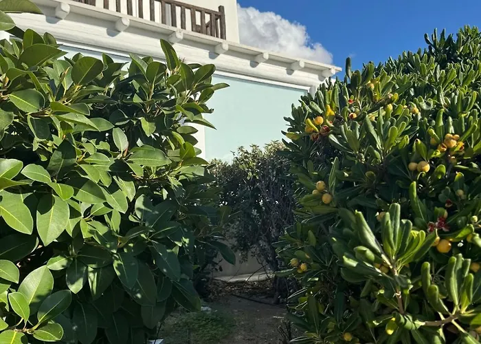 別荘 Erica Mykonos Mykonos Town