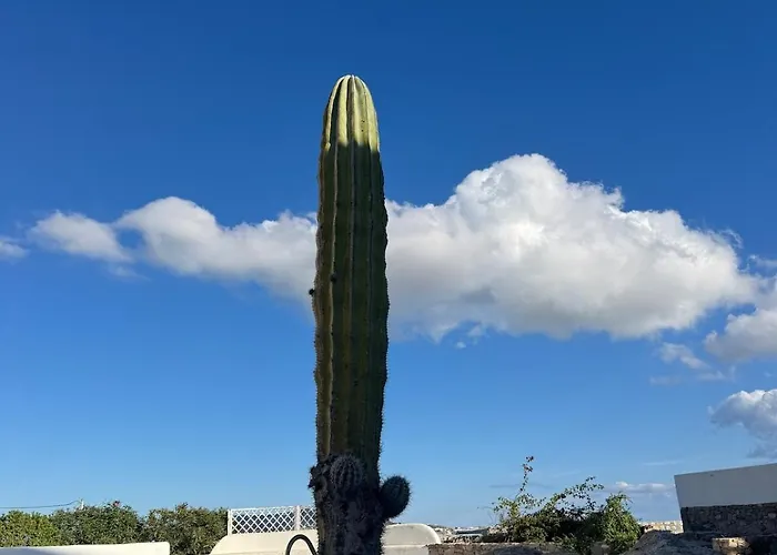 Erica Mykonos 別荘 *