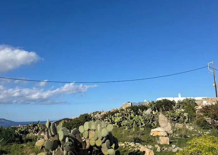 Erica Mykonos Mykonos Town